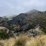 Wisdom & Zeal in 2026 