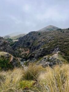 Read more about the article Wisdom & Zeal in 2026 